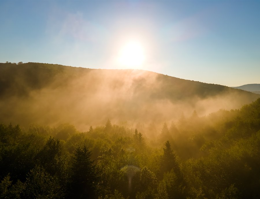 Energy realignment session – morning sunlight over a misty forest