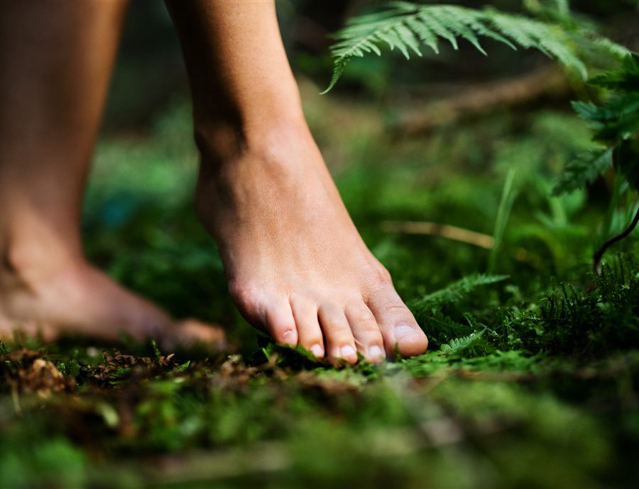 Bare foot stepping onto moss in the forest
